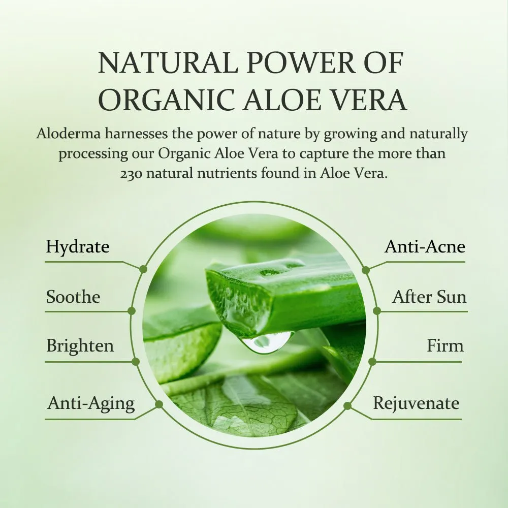 Aloe Firming Eye Cream